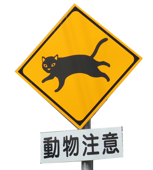 動物注意 道路標識 あずきちゃん 猫 のお散歩ブログ 楽天ブログ