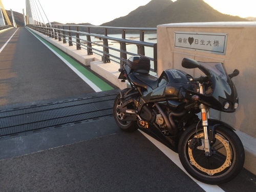 280117_15 (500x375).jpg