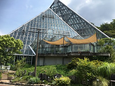 大阪府立花の文化園 さんにお邪魔しました 前半戦だよ 温室 屋外展示 僕の食虫植物日記 楽天ブログ