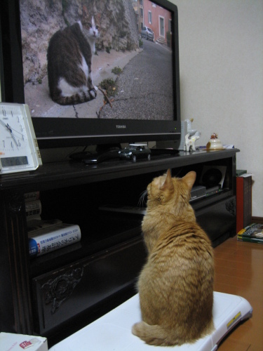 Jan. 04, 2014(8).JPG