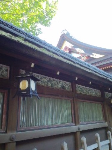 PA0_0030.JPG