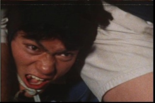 PDVD_048.jpg