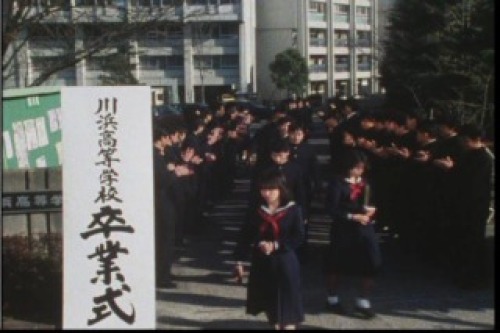 PDVD_031.jpg