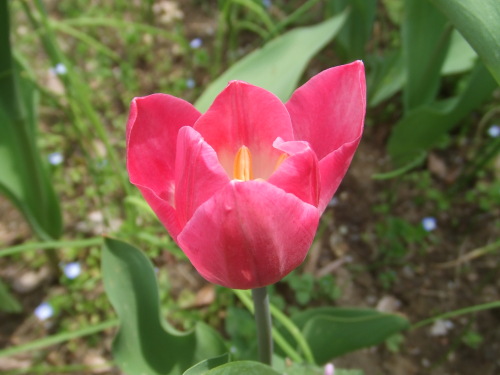DSCF6165.JPG
