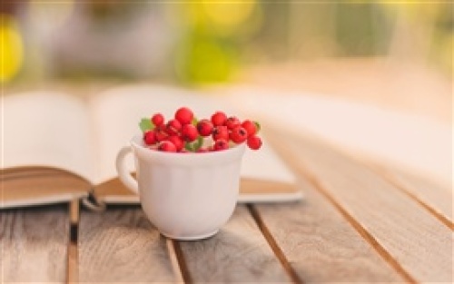 Still-life-book-cup-red-berry_s.jpg