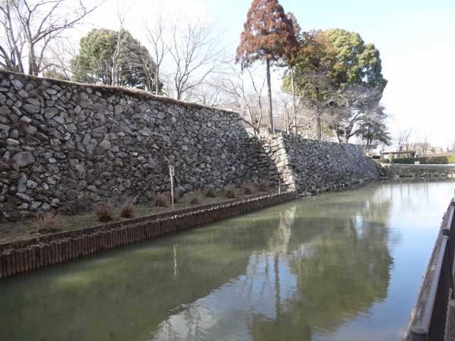 DSC00257.jpg