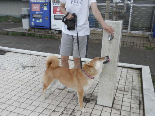 画像 5739.jpg