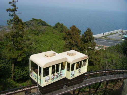 サルのお化粧の正体は (6).JPG