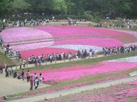 IMG_4012_R.JPG