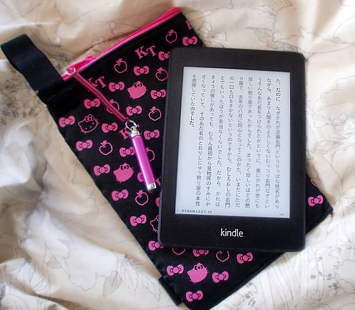 キンドル2.jpg