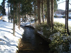 遠野10.jpg
