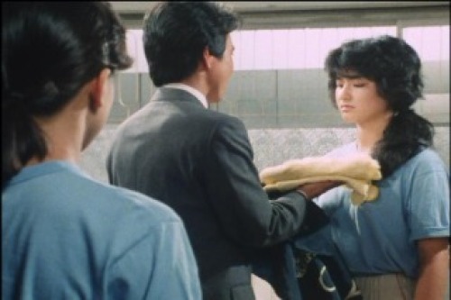 PDVD_023.jpg