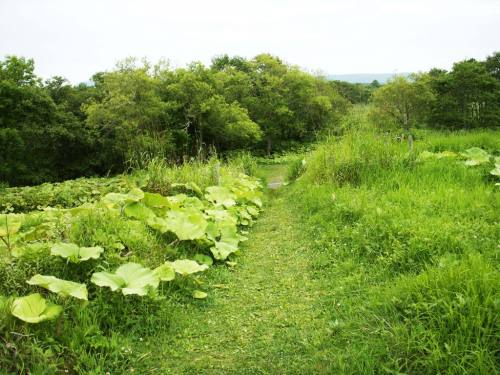 PICT0570.JPG