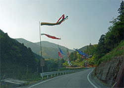 土佐山33.jpg