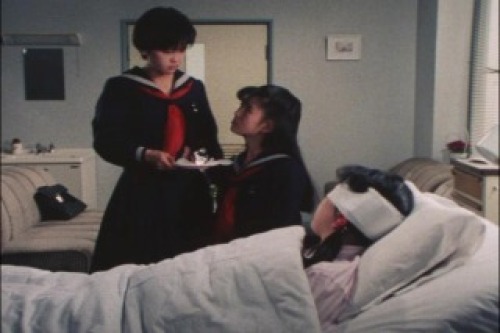 PDVD_013.jpg