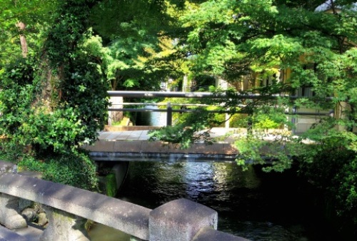 pict-松尾大社 10.jpg