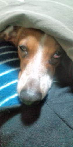 20120203222150.jpg