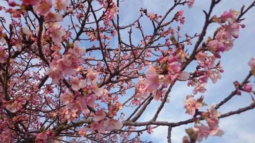 CYMERA_20170404_105342.jpg