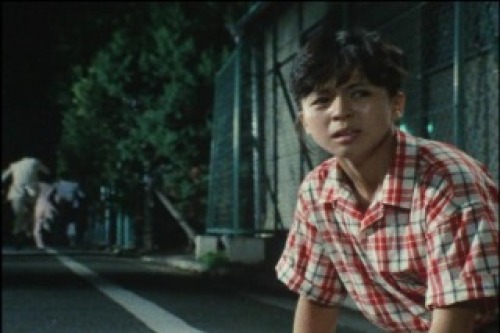 PDVD_010.jpg