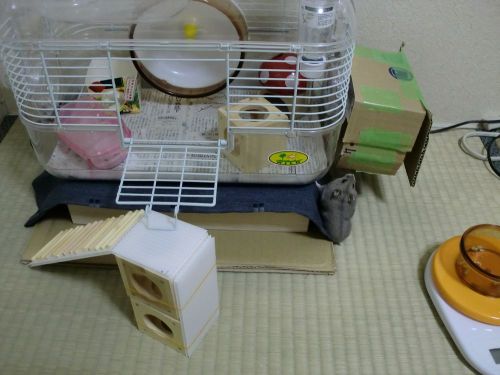 入り口どこじゃ