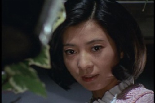 PDVD_018.jpg