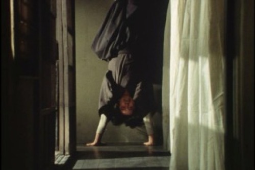 PDVD_062.jpg