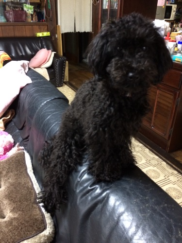 IMG_8781 - コピー.JPG