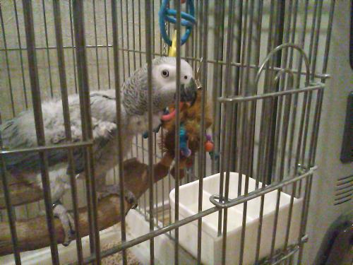 4 住み心地はいかが？。。。.JPG