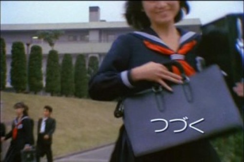 PDVD_293.jpg