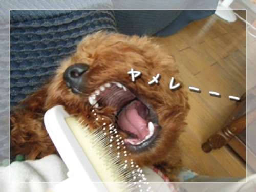 DSCF4848.JPG