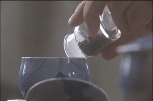 PDVD_005.jpg