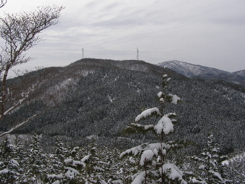P2170768t.jpg