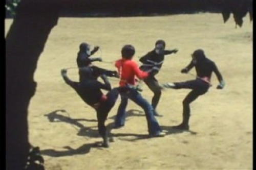 PDVD_012.jpg