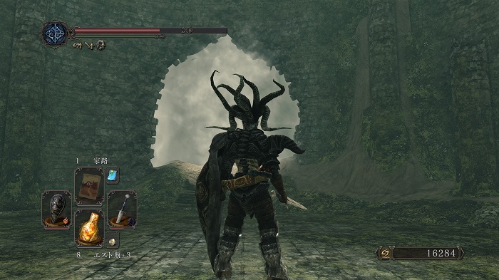 Dark Souls Ii日記 難易度差がすごい のんびりしつつどんぶらこと泳いでいるとなんとそこで虚無る日記 楽天ブログ