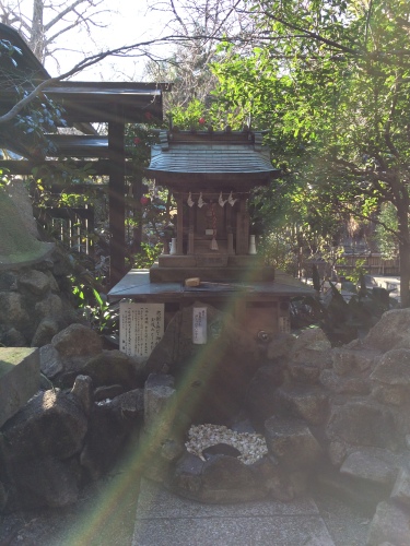 IMG_8206 - コピー.JPG