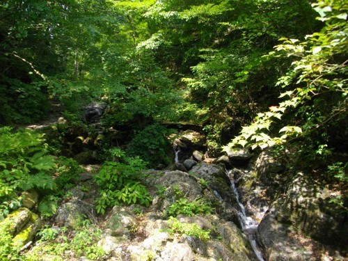 三頭山三頭沢 (1) (500x375).jpg