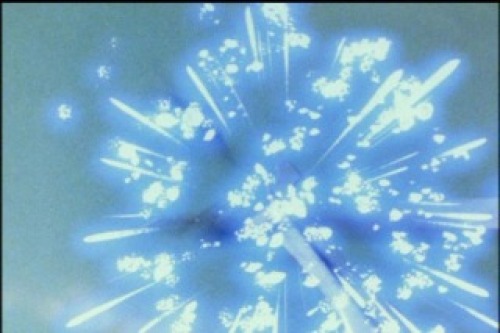 PDVD_040.jpg