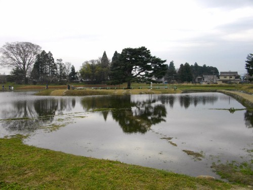 平泉無量光院東中島 (500x375).jpg