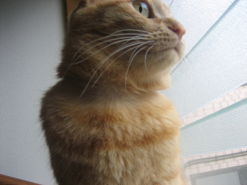 Sept. 04, 2013(3).JPG