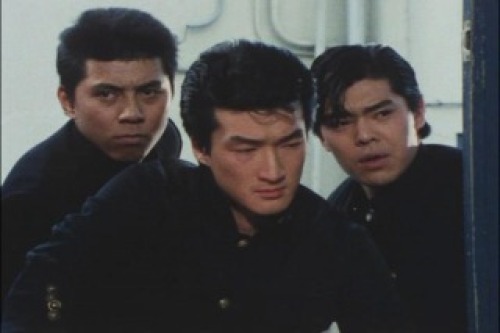 PDVD_013.jpg