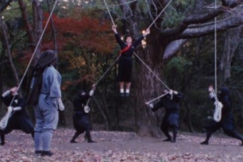 PDVD_018.jpg