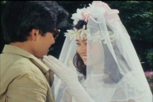 PDVD_046.jpg