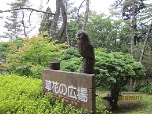 IMG_2691ふくろう1.jpg
