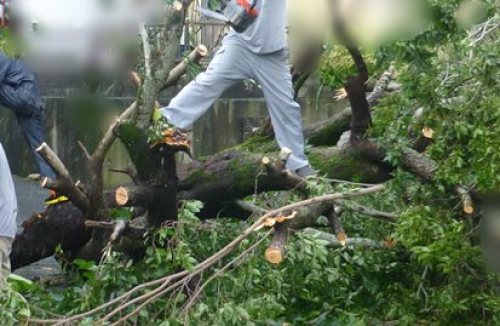 台風１５号３.JPG