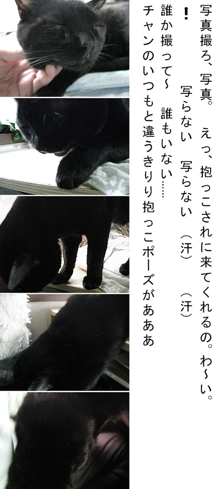 抱っこチャン.jpg