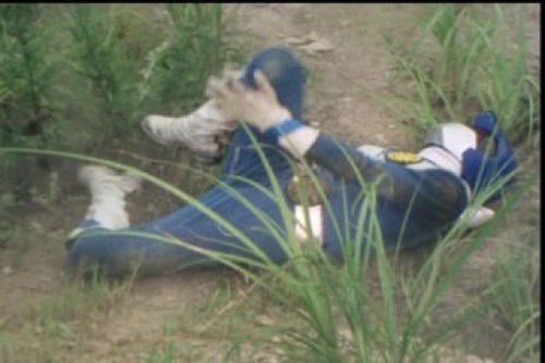 PDVD_010.jpg