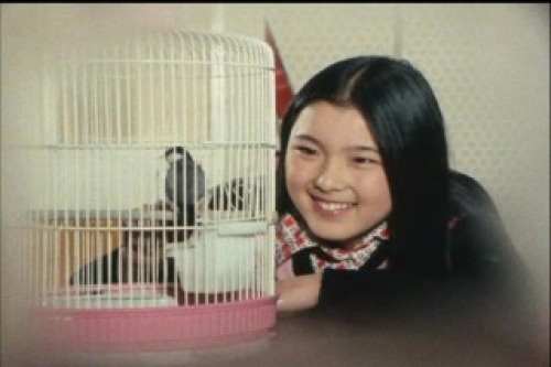 PDVD_020.jpg