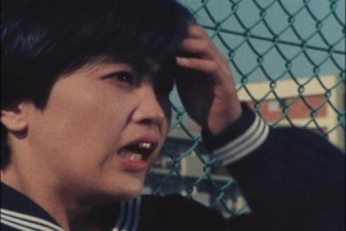 PDVD_013.jpg