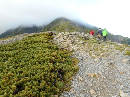 間ノ岳北岳山荘登城道.JPG