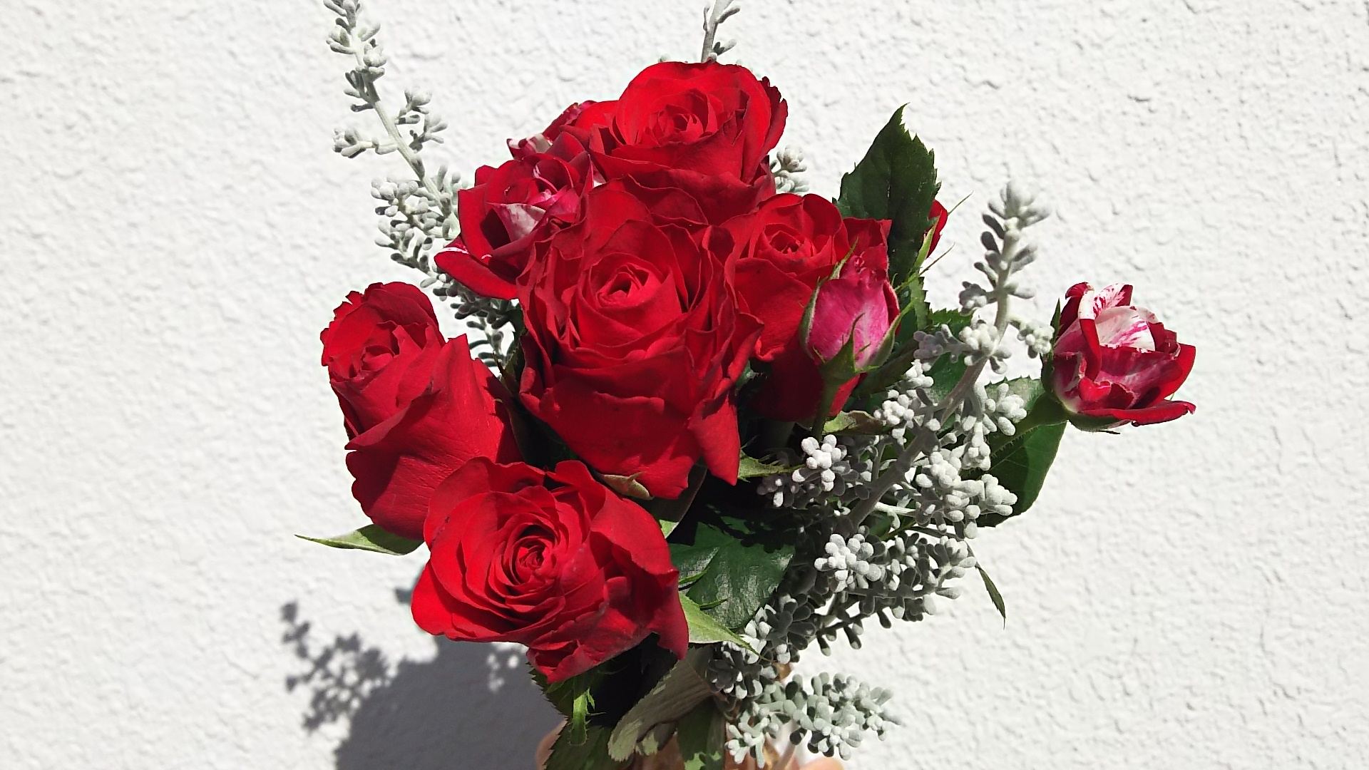 青山フラワーマーケット 旬の花定期便 2便目 Kisとmcの日記 楽天ブログ